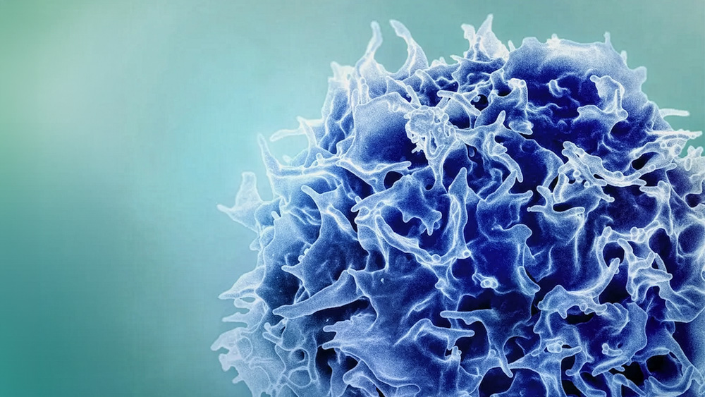T-cell resembling fuzzy orb
