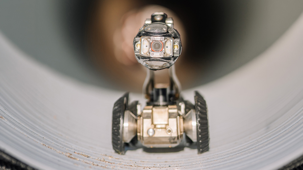 a tiny moving robot 