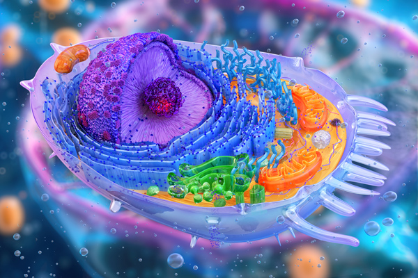 colorful cell