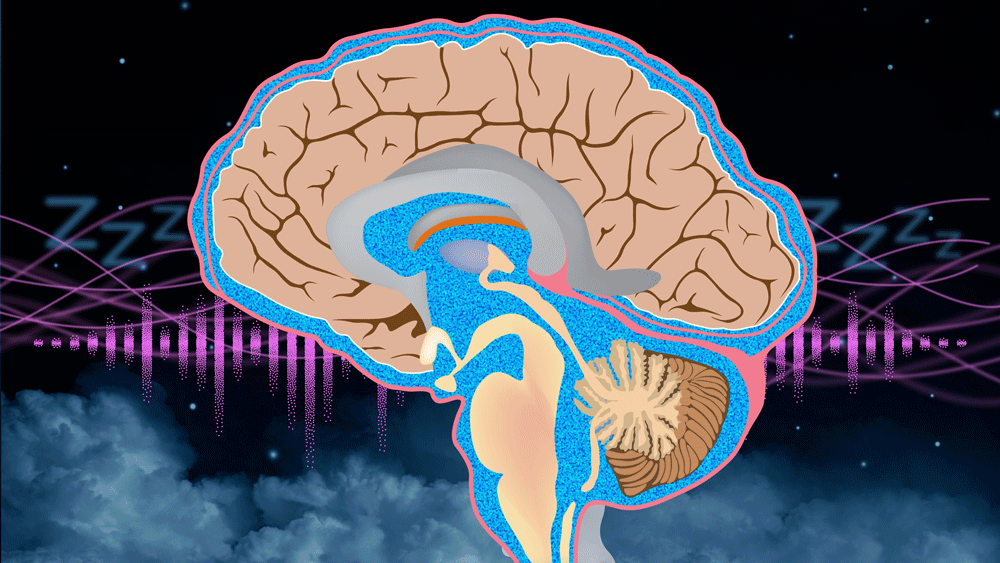 Brain with cerebrospinal fluid and sleepy icons