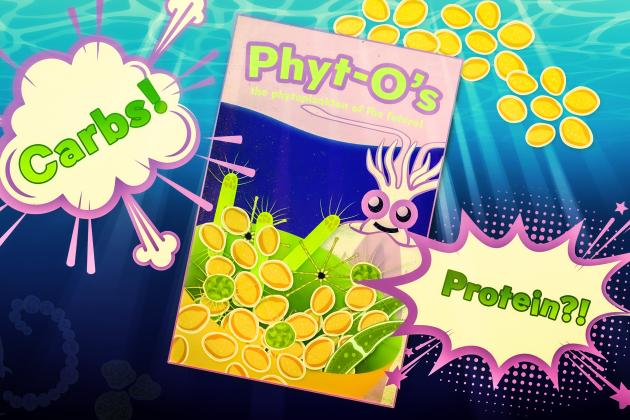 As sea surface temperatures rise over the next century, phytoplankton in polar regions will adapt to be less rich in proteins, heavier in carbohydrates, and lower in nutrients overall. “We’re moving in the poles toward a sort of fast-food ocean,” says MIT postdoc Shlomit Sharoni.