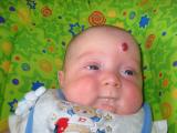 Click on one of the size names above to enlarge this image Click on one of the size names above to enlarge this image