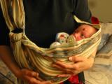 Click on one of the size names above to enlarge this image Click on one of the size names above to enlarge this image