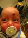 Click on one of the size names above to enlarge this image Click on one of the size names above to enlarge this image