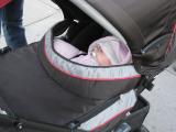 Click on one of the size names above to enlarge this image Click on one of the size names above to enlarge this image