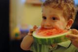 Click on one of the size names above to enlarge this image Click on one of the size names above to enlarge this image
