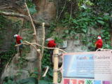 Click on one of the size names above to enlarge this image Click on one of the size names above to enlarge this image