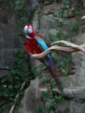 Click on one of the size names above to enlarge this image Click on one of the size names above to enlarge this image