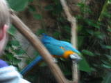 Click on one of the size names above to enlarge this image Click on one of the size names above to enlarge this image
