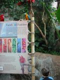 Click on one of the size names above to enlarge this image Click on one of the size names above to enlarge this image