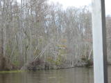 Click on one of the size names below to enlarge this image
