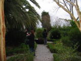 Click on one of the size names above to enlarge this image Click on one of the size names above to enlarge this image