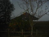 Click on one of the size names above to enlarge this image Click on one of the size names above to enlarge this image