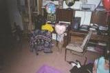 Click on one of the size names above to enlarge this image Click on one of the size names above to enlarge this image