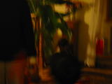 Click on one of the size names below to enlarge this image