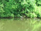 Click on one of the size names below to enlarge this image