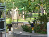 Click on one of the size names above to enlarge this image Click on one of the size names above to enlarge this image