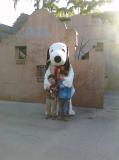 Click on one of the size names above to enlarge this image Click on one of the size names above to enlarge this image