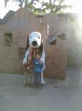 Click on one of the size names above to enlarge this image Click on one of the size names above to enlarge this image