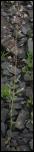 Click on one of the size names below to enlarge this image Click on one of the size names below to enlarge this image