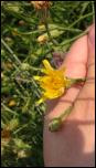 Click on one of the size names below to enlarge this image Click on one of the size names below to enlarge this image