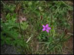 Click on one of the size names below to enlarge this image Click on one of the size names below to enlarge this image