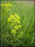Click on one of the size names below to enlarge this image Click on one of the size names below to enlarge this image