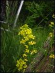Click on one of the size names below to enlarge this image Click on one of the size names below to enlarge this image
