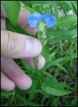 Click on one of the size names below to enlarge this image Click on one of the size names below to enlarge this image