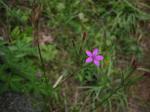Click on one of the size names below to enlarge this image Click on one of the size names below to enlarge this image