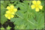 Click on one of the size names below to enlarge this image Click on one of the size names below to enlarge this image