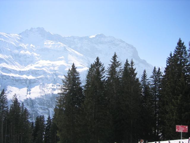 Swiss Alps