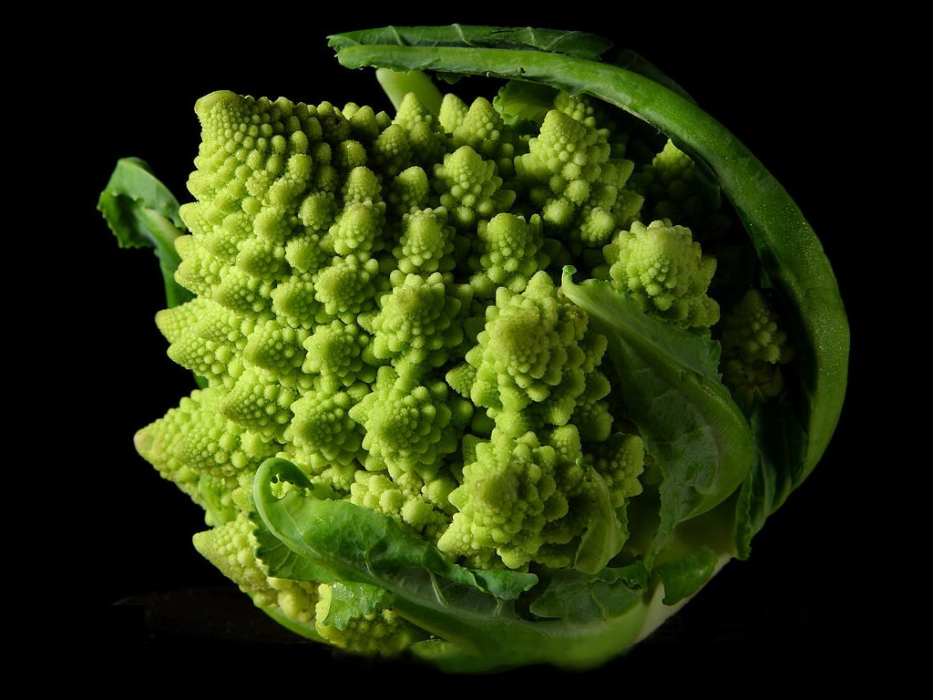 FractalBroccoli