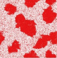 Motility Induced Phase Separation