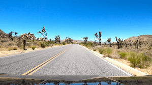 Joshua Tree National Park