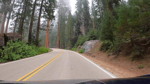 Sequoia National Park
