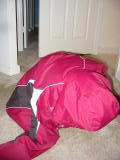 Click on one of the size names above to enlarge this image Click on one of the size names above to enlarge this image