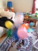 DSCF0025