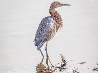 20171209 3288-Enhanced-NR