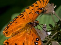 585A2478-Enhanced-NR