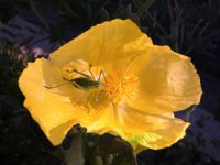 DSCN0102