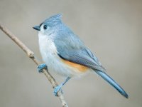 IMG 7096