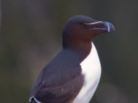 W5A9877