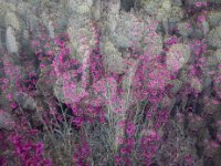 585A5487 1600x1084 U 100 Long Edge gainMap