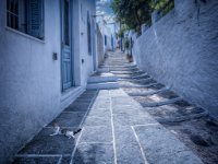 IMG 2351 1313x1000 U 100 Original%20ratio-enhanced 1326x1000 U 100 Original ratio