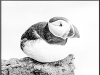 panel1 5 1600x1265 U 100 Long Edge gainMap