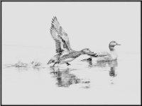 panel6 5-enhanced 1920x1440 U 50 Original ratio 1600x1200 U 100 Long Edge gainMap