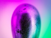 585A5329-Enhanced-NR