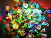 Dry Leaves Lighting effects : Web Sharp: Original ratio