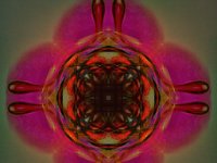 20180426 0934a : Web Sharp: Original ratio